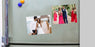 Fridge Magnets